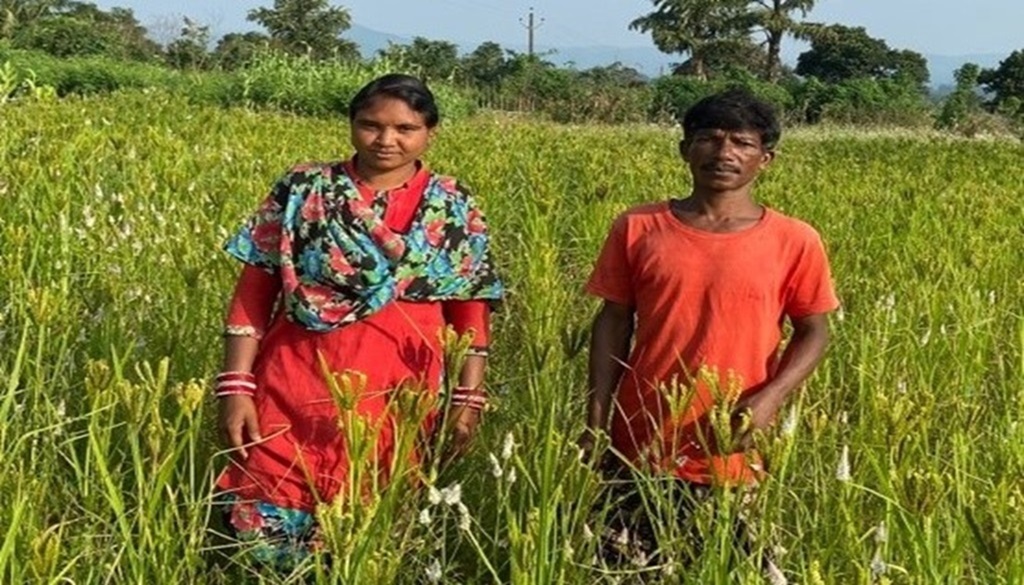 Alladin Khila - A Champion of Millets Farming from Koraput